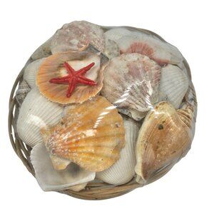 Coastal Decor Seashell Mix In Woven Basket With Starfish Home Accent